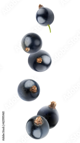 Photos Falling black currant berries cut out
