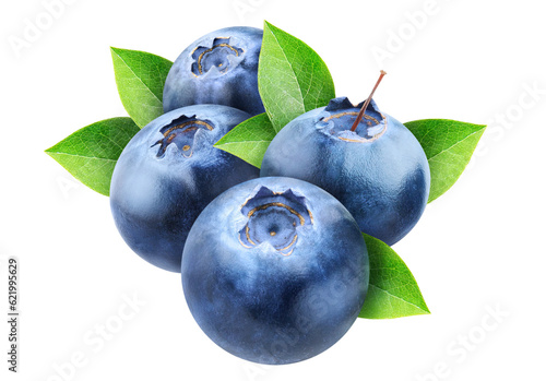 Fresh blueberries cut out