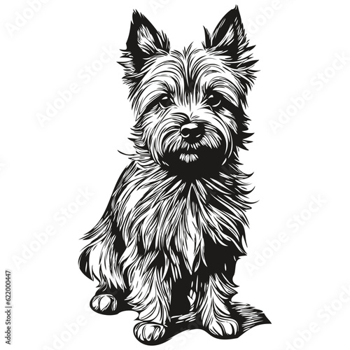 Sticker Cairn Terrier dog pencil hand drawing vector, outline illustration pet face logo