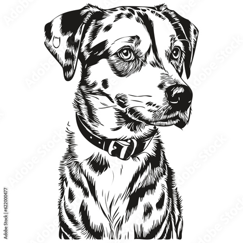 Dalmatian dog head line drawing vector,hand drawn illustration with transparent background