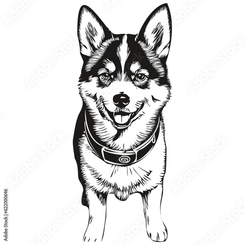 Shiba Inu dog portrait in vector  animal hand drawing for tattoo or tshirt print illustration