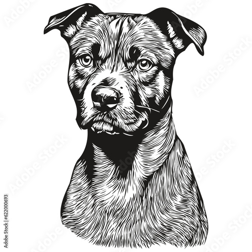 Staffordshire Bull Terrier dog silhouette pet character, clip art vector pets drawing black and white