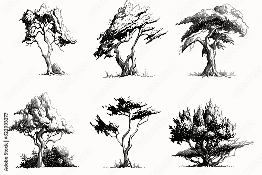 Fototapeta set of trees silhouettes