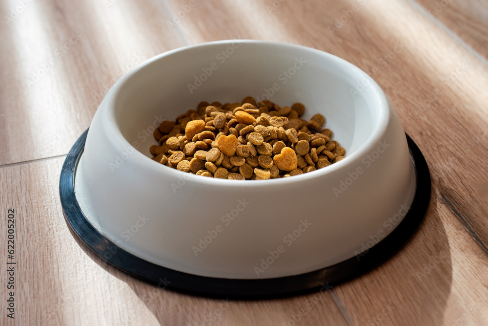 Cat food in a bowl close up Cat food in a bowl close up