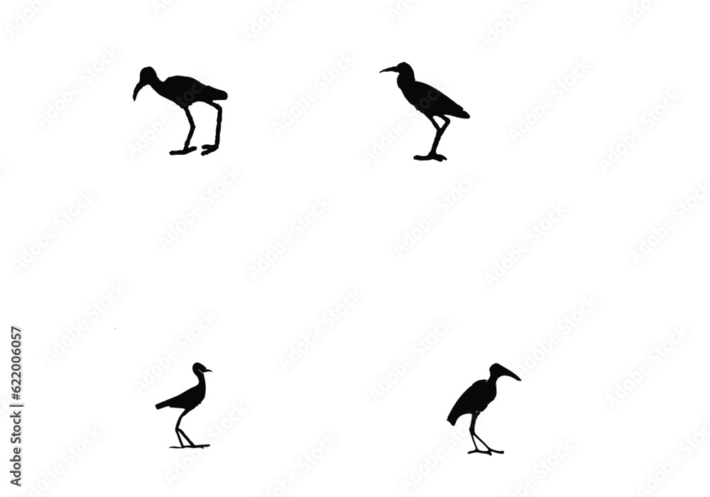 Obraz premium minimal African Jacana icon design illustration.eps