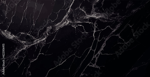 Black marble texture design, dark marble surface, curved golden lines, abstract panoramic background design - Vector