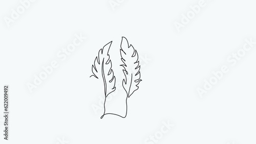 Self-drawing animation of continuous drawing of one line of feathers