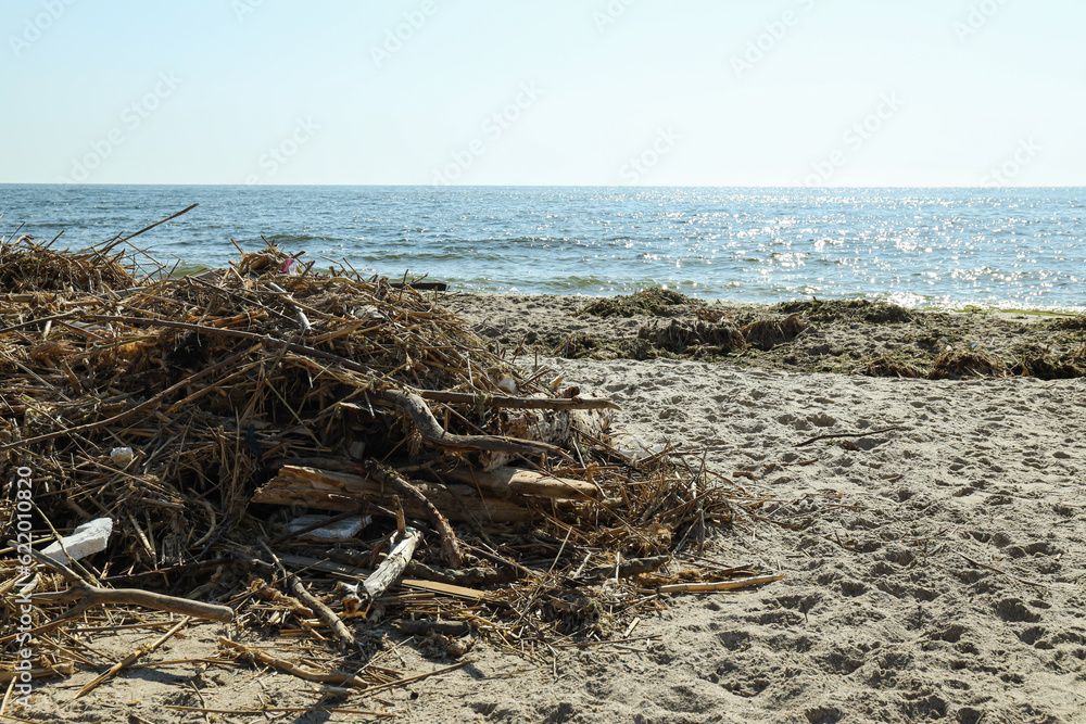 Pollution of the water body with plastic waste and garbage Pollution of the water body with plastic waste and garbage