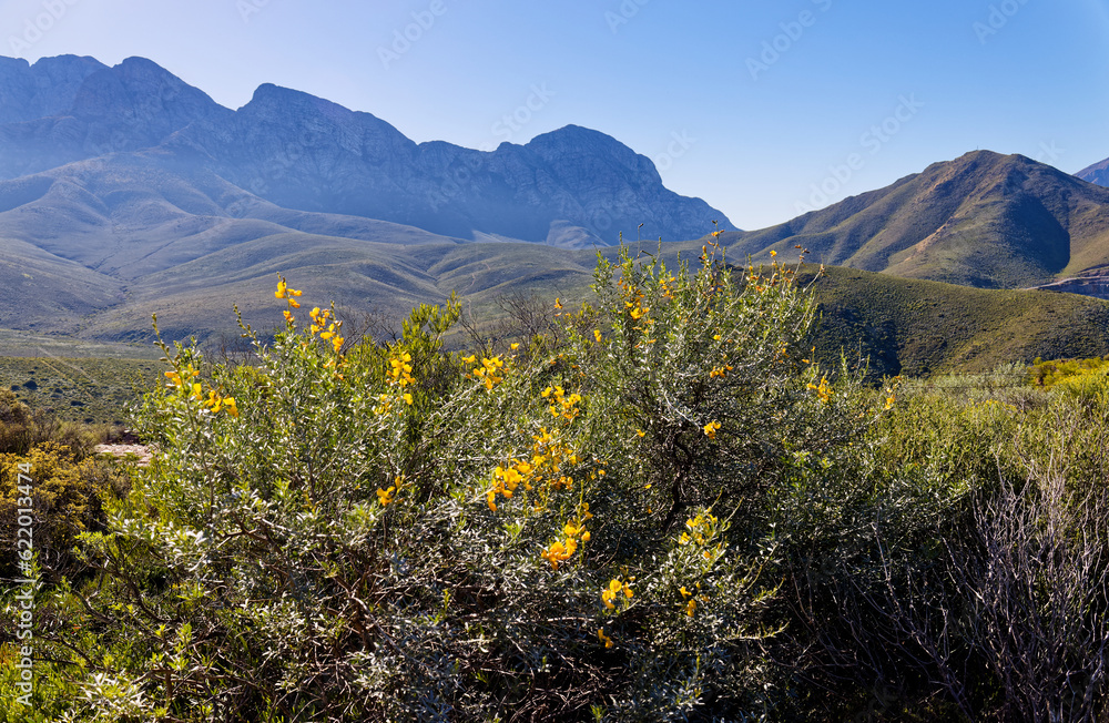 A view from a hill on a sunny day over the surrounds of Worcester, Western Cape, South Africa.