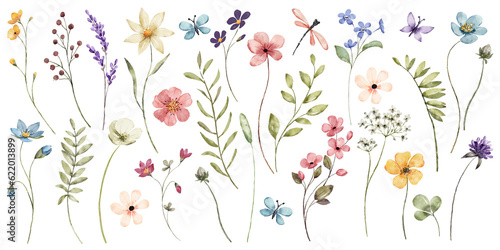 Flowers and leaves set, floral watercolor illustration for greeting card, invitation and other printing design. Isolated on white. Hand drawing.