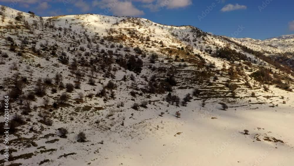 Aerial Shot Of Trees And Plants On Snowcapped Mountains, Drone Flying Backward Over Landscape Against Sky At Sunset - Golan Heights, Israel Aerial Shot Of Trees And Plants On Snowcapped Mountains, Drone Flying Backward Over Landscape Against Sky At Sunset - Golan Heights, Israel