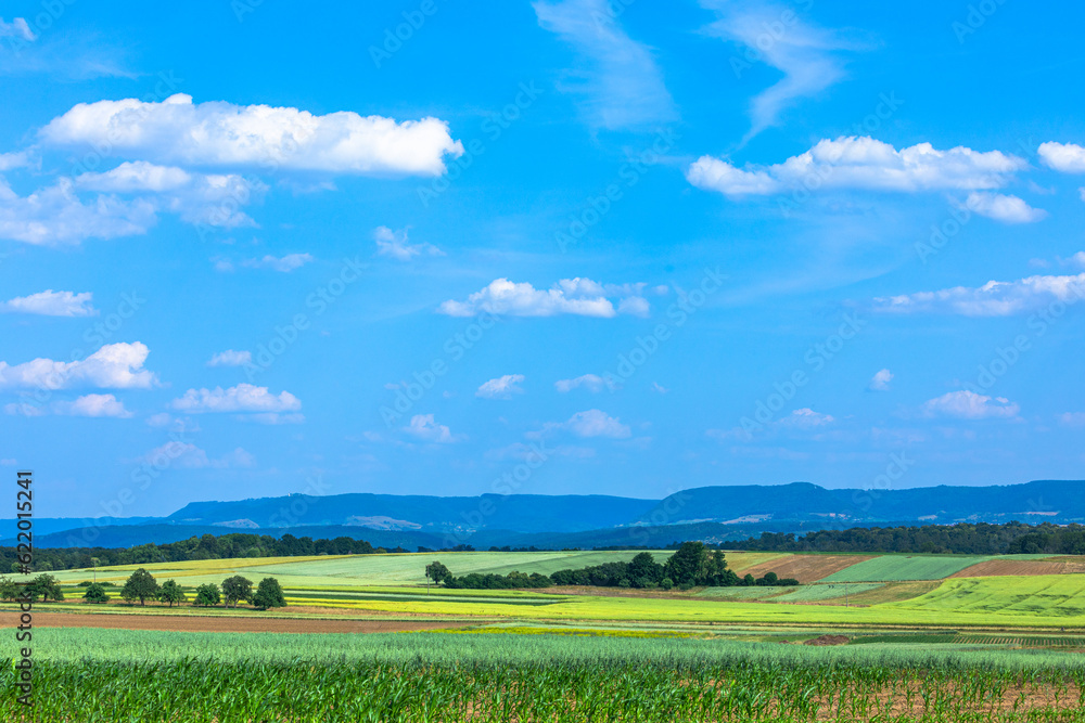 summer scene with grain fields an d view to the swabian alb