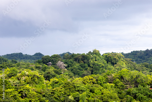 Rainforest at Manuel Antonio Costa Rica