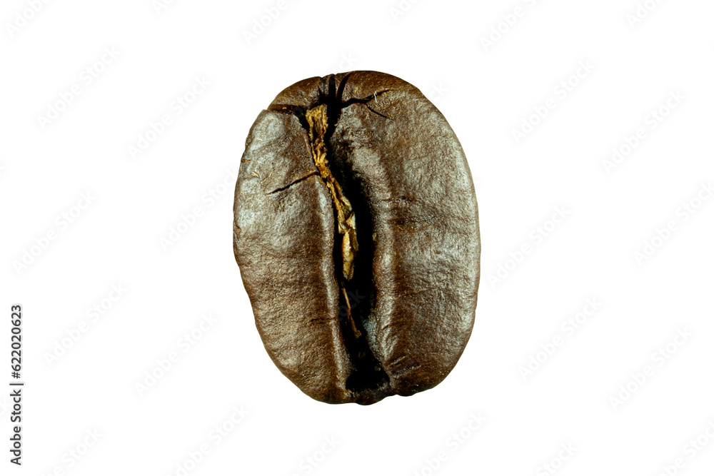 Naklejka premium Coffee Beans