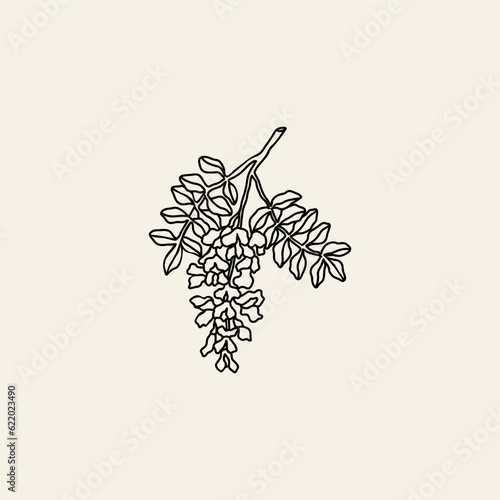 Line art black locust illustration