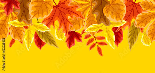 Pattern with autumn leaves. Background with various foliage.