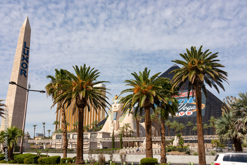 Scenic view of luxury Luxor hotel and casino on Las Vegas Strip, Nevada, USA. Tropical palm tree against blue sky, a serene vacation vibe. Sphynx and pyramide landmarks