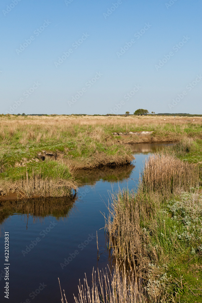 Landschap op Schiermonnikoog, Landscape at Schiermonnikoog Landschap op Schiermonnikoog, Landscape at Schiermonnikoog