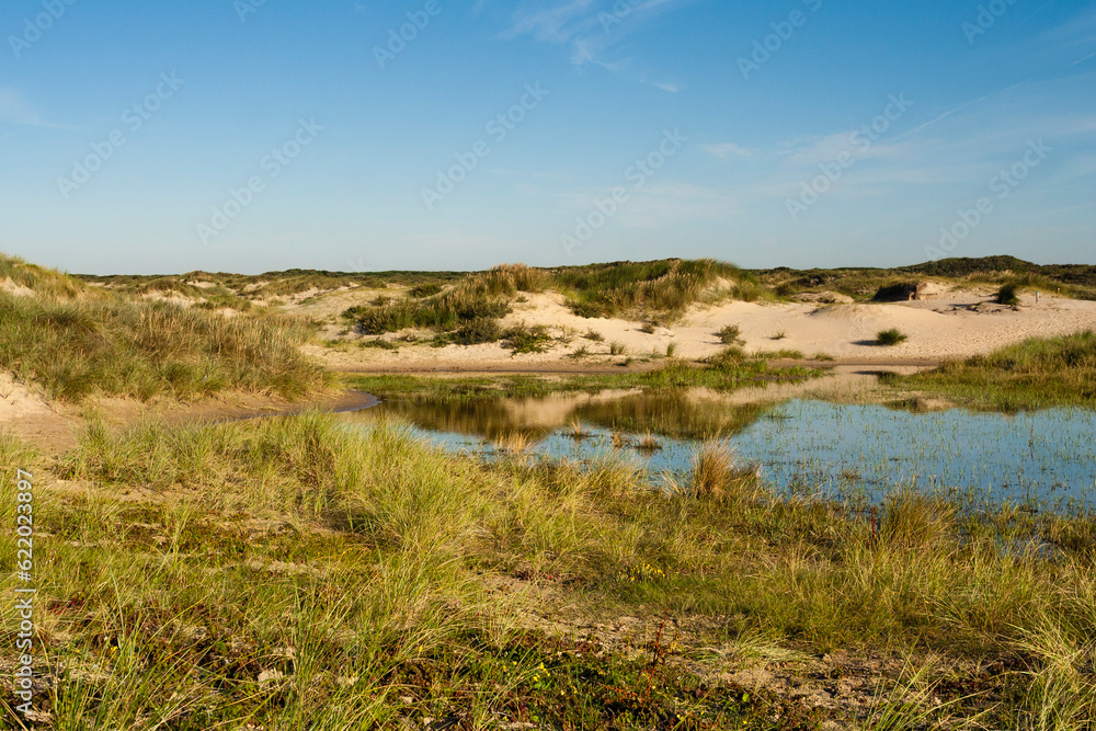 Landscape at the Zuidduinen Landscape at the Zuidduinen