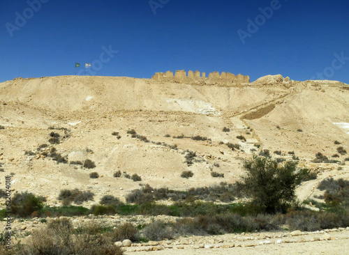Nizzana fortress  Negev desert  Israel