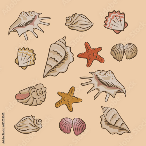 Collection of flat vector seashells. Sea or ocean elements composition. Isolated seashells and starfish on sand background. Perfect for stickers, tatoo, pattern, background, wrapping paper