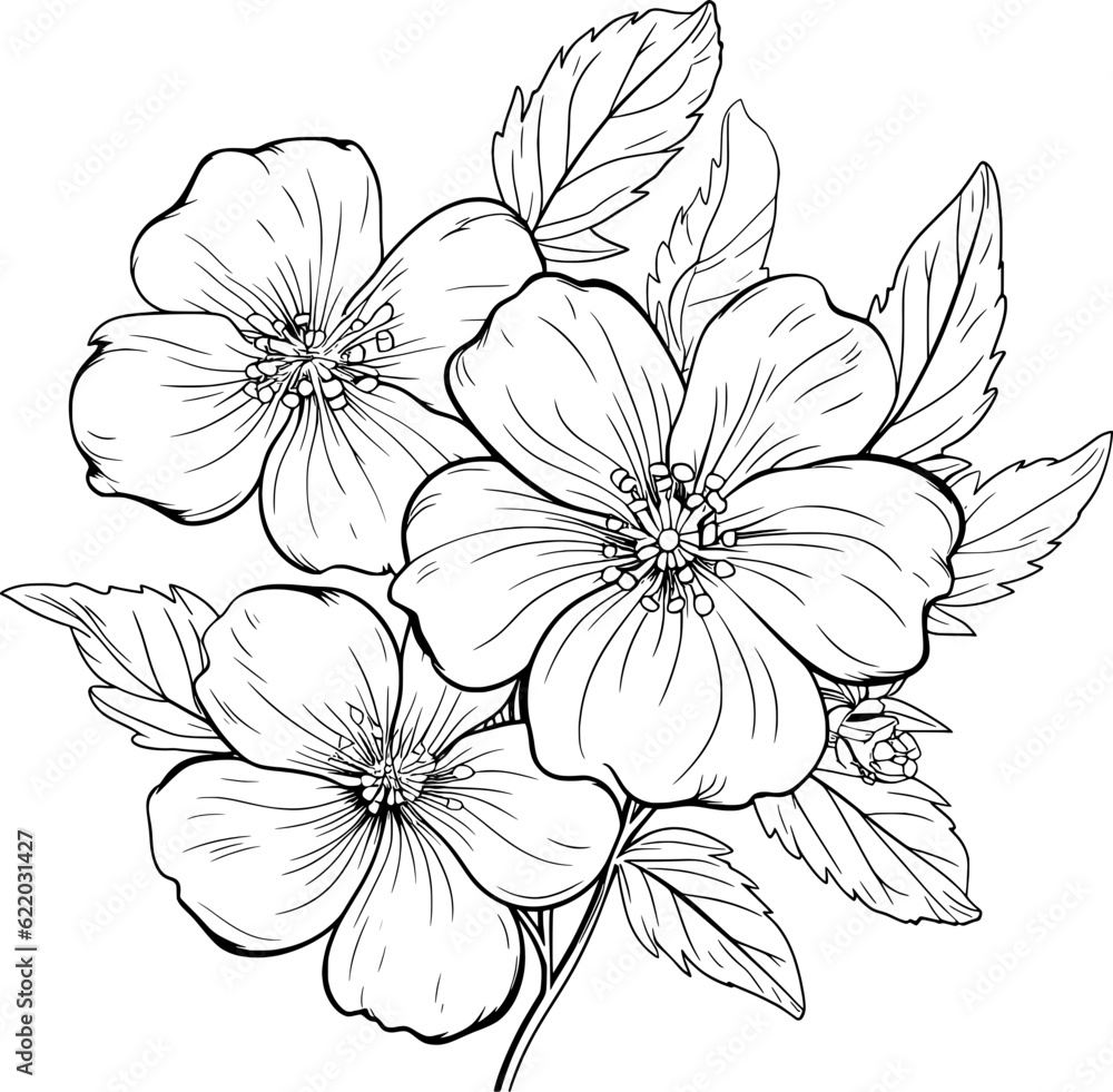 Floral Line Art Floral Line Art
