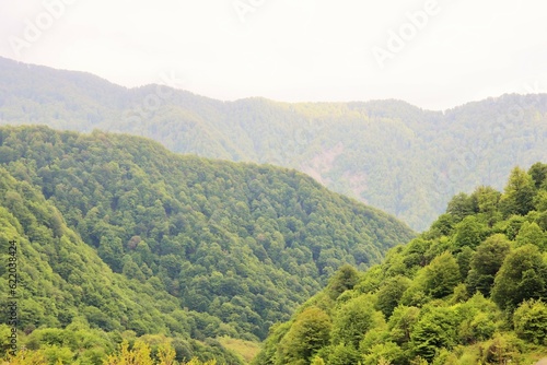 Mountain landscape covered with dense lush green vegetation