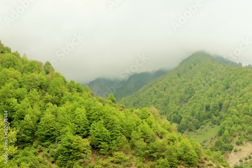 Mountain landscape covered with dense lush green vegetation