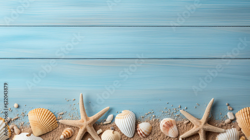 seashells on the seaside