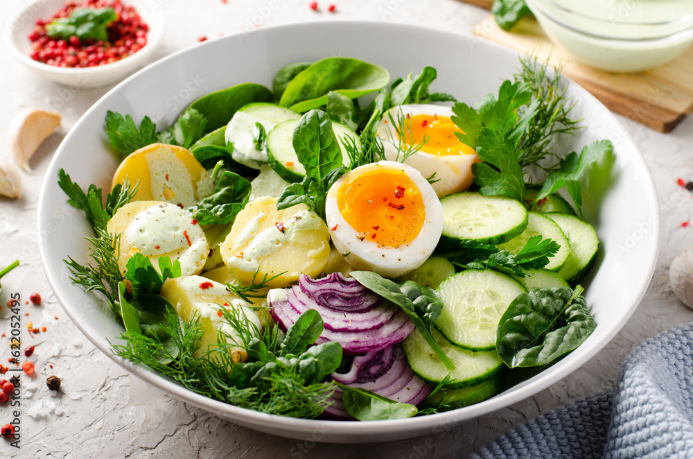 Green Buddha Bowl with Fresh Herbs and Vegetables, Healthy Balanced Meal, Bowl or Salad with Young Potatoes, Cucumber, Lettuce, Egg and Herb Dressing Green Buddha Bowl with Fresh Herbs and Vegetables, Healthy Balanced Meal, Bowl or Salad with Young Potatoes, Cucumber, Lettuce, Egg and Herb Dressing