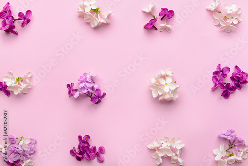 Composition with different beautiful lilac flowers on pink background © Pixel-Shot