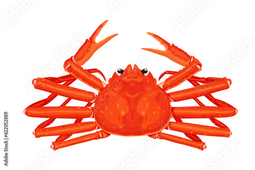 Snow crab Vector eps 10. background, perfect for wallpaper or design elements