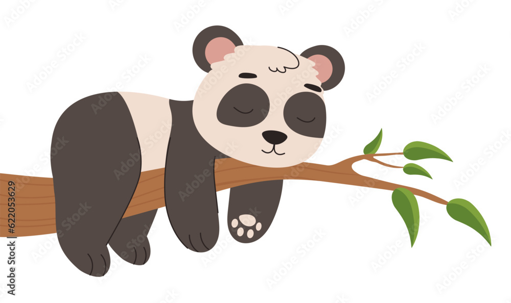 Fototapeta premium Cute panda on branch concept