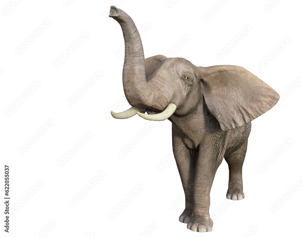 Funny elephant isolated on transparent background, 3D