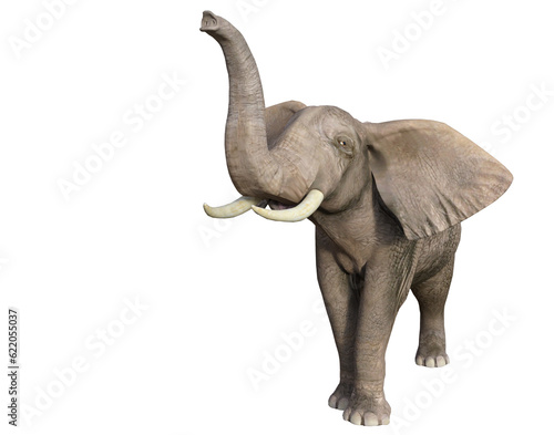 Funny elephant isolated on transparent background  3D