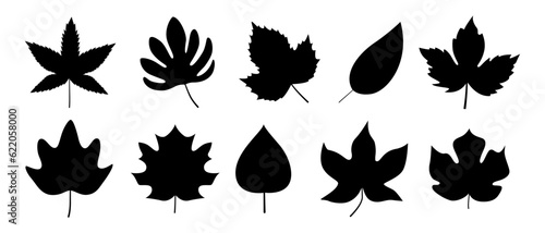Black autumn leaves or foliage silhouettes isolated on white background. Big set of vector fall tree leaf shapes with maple, oak, birch and other nordic leave
