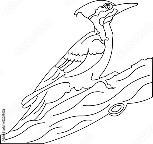 Woodpeckers Bird Outline Illustration
 photo