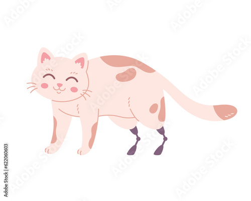 Cat with prosthetic hind legs. Disabled cat, veterinary medicine veterinary clinic, sick cat. Vector illustration in flat style