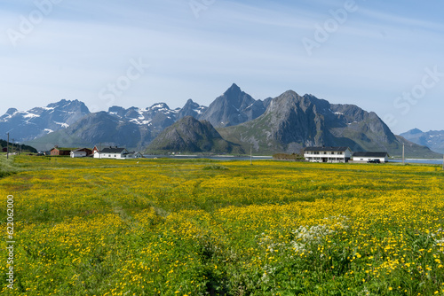 un champ de fleurs jaunes avec deux maisons blanches et une chaine de montagne en arri  re plan