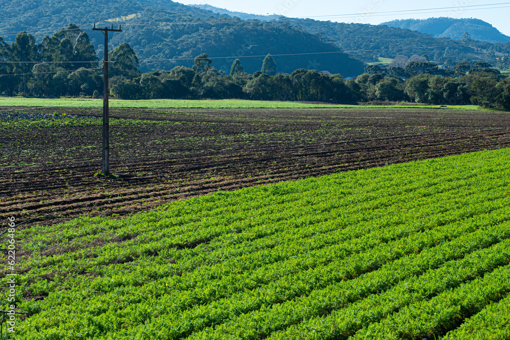Farm with agricultural planting in Santa Catarina.