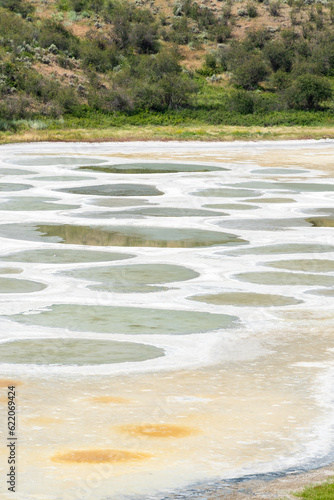 Close up of Osoyoos spotted lake