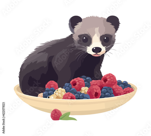 Fluffy raccoon eating sweet blueberry from bowl photo