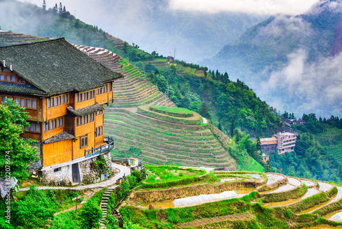 Yaoshan Mountain, Guilin, China hillside rice terraces landscape. photo