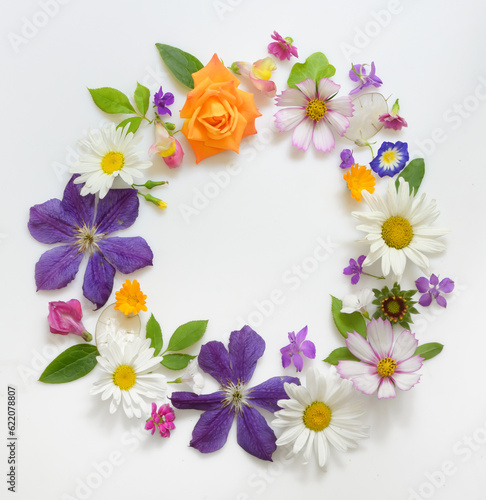 Selection of Various Flowers Isolated on White Background