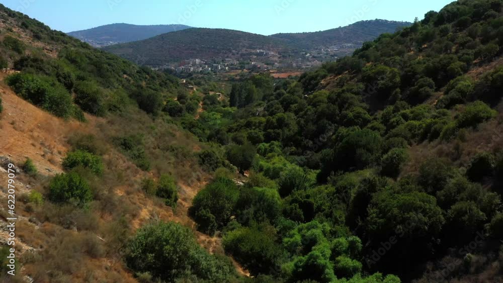 Aerial: Drone Flying Forward Over Green Trees And Plants Near Houses On Mountains Against Sky During Sunny Day - Tzalmon, Israel Aerial: Drone Flying Forward Over Green Trees And Plants Near Houses On Mountains Against Sky During Sunny Day - Tzalmon, Israel