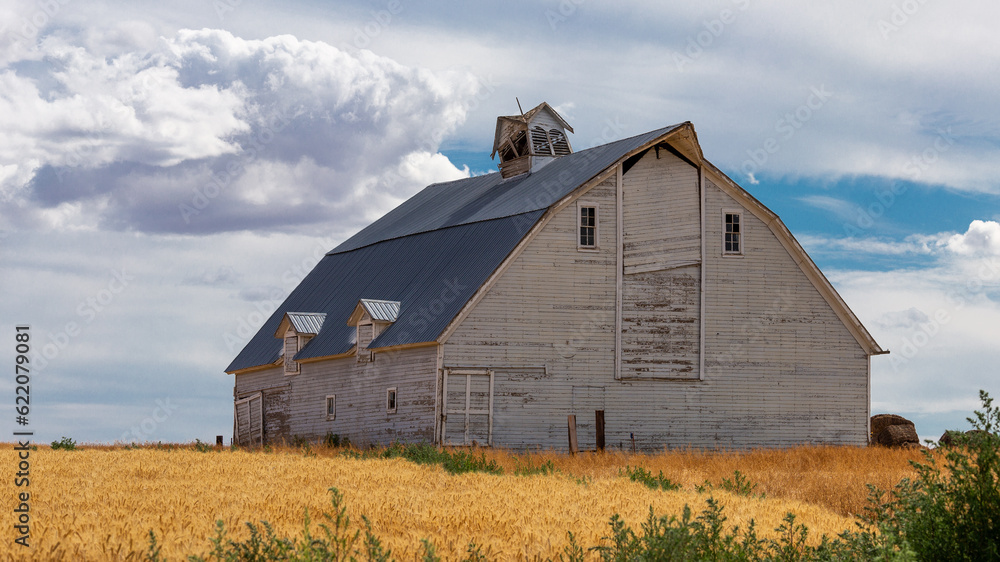 Obraz premium old barn in the field