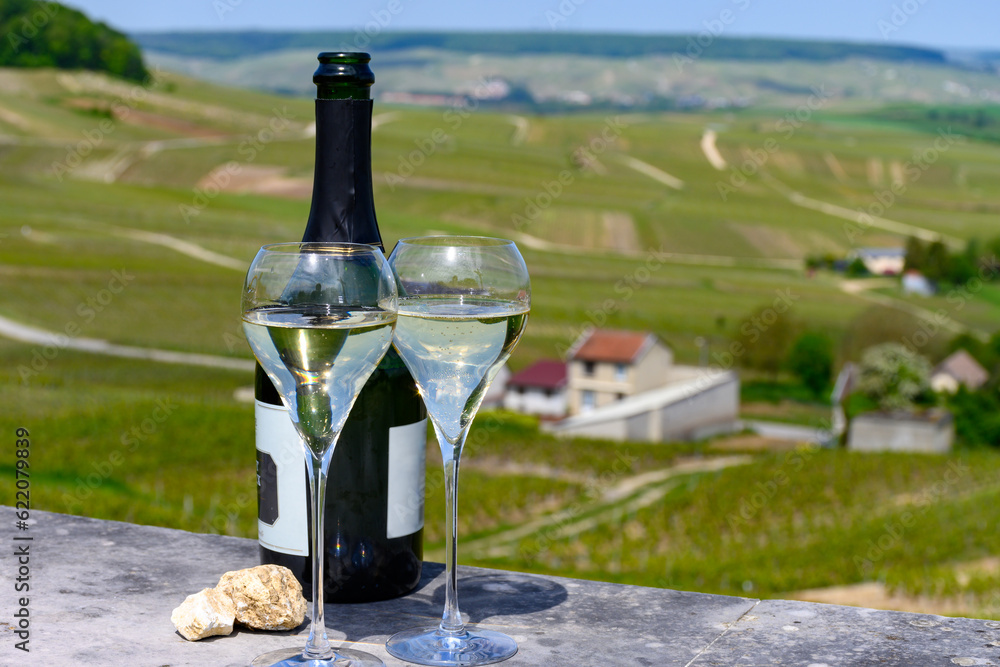 Tasting of grand cru sparkling white wine with bubbles champagne with view on houses and vineyards grand cru wine producer small village Cramant, Champagne, France