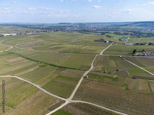 Panoramic aerial view on green premier cru champagne vineyards and fields near village Hautvillers and Cumieres and Marne river valley, Champange, France