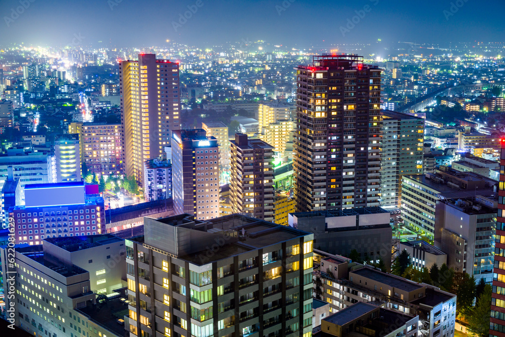Sendai, Japan downtown cityscape at night.
