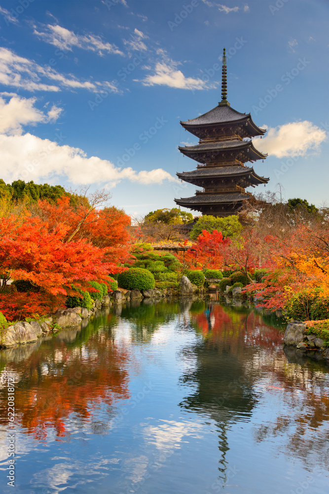 Fototapeta premium Kyoto, Japan at Toji Pagoda in autumn.